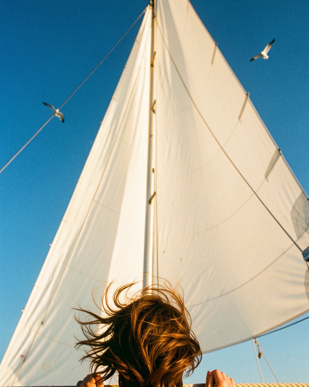 Ponza, barca a vela — foto 4 di 6